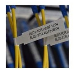 Slika izdelka: BROTHER PT-E920BT Label Printer