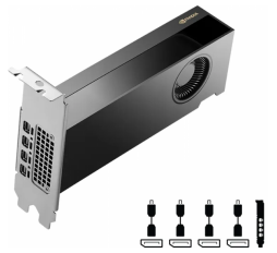 Slika izdelka: Grafična kartica PNY Nvidia RTX A2000 ADA 16GB GDDR6 PCI-E 4.0