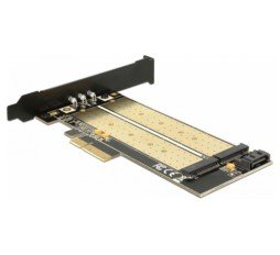 Slika izdelka: Kartica PCI Express kontroler  x4 Delock 1xM.2 NGFF + 1x M.2 NVMe + Low Profile