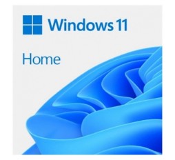 Slika izdelka: Microsoft Windows Home 11 FPP angleški, USB