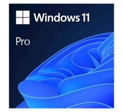 Slika izdelka: Microsoft Windows Pro 11 FPP angleški, USB