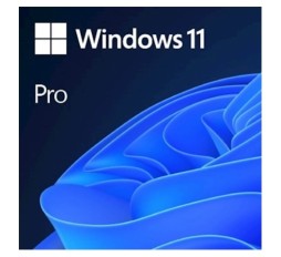 Slika izdelka: Microsoft Windows Pro 11 FPP slovenski, USB