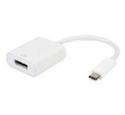 Slika izdelka: Pretvornik E-Green USB 3.1-C (M) - Display Port (F)